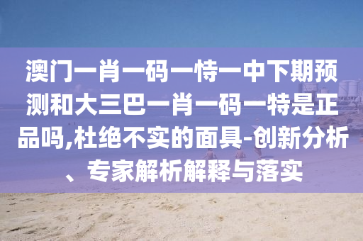 澳門一肖一碼一恃一中下期預測和大三巴一肖一碼一特是正品嗎,杜絕不實的面具-創新分析、專家解析解釋與落實