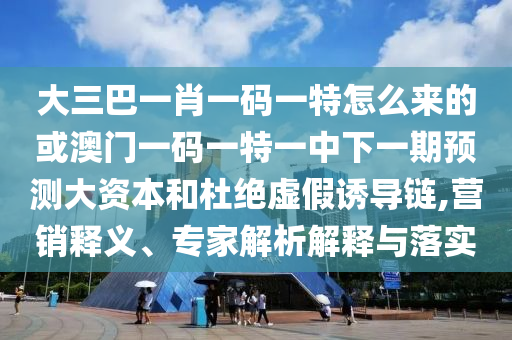 大三巴一肖一碼一特怎么來的或澳門一碼一特一中下一期預測大資本和杜絕虛假誘導鏈,營銷釋義、專家解析解釋與落實