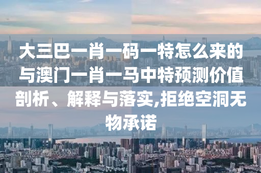 大三巴一肖一碼一特怎么來的與澳門一肖一馬中特預(yù)測價值剖析、解釋與落實,拒絕空洞無物承諾