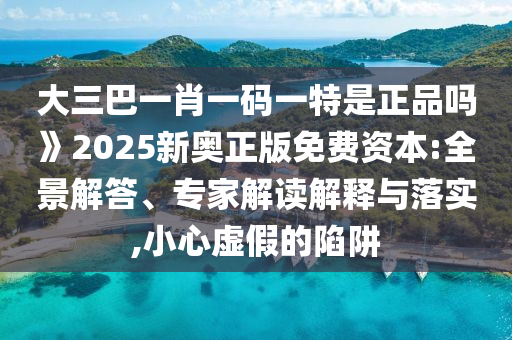 大三巴一肖一碼一特是正品嗎》2025新奧正版免費資本:全景解答、專家解讀解釋與落實,小心虛假的陷阱
