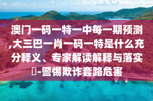 澳門一碼一特一中每一期預測,大三巴一肖一碼一特是什么充分釋義、專家解讀解釋與落實?-警惕欺詐套路危害