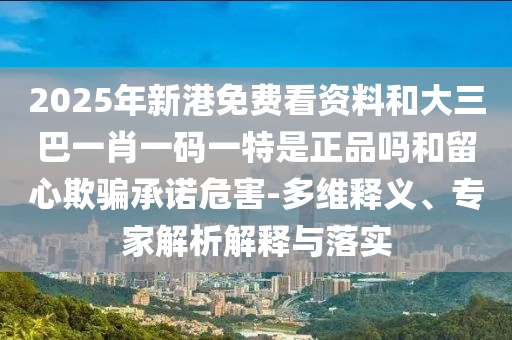 2025年新港免費看資料和大三巴一肖一碼一特是正品嗎和留心欺騙承諾危害-多維釋義、專家解析解釋與落實