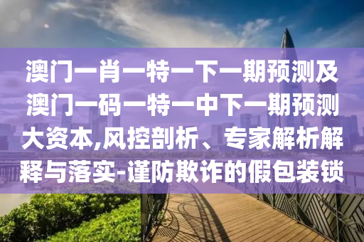 澳門一肖一特一下一期預(yù)測及澳門一碼一特一中下一期預(yù)測大資本,風控剖析、專家解析解釋與落實-謹防欺詐的假包裝鎖