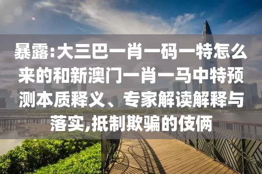 暴露:大三巴一肖一碼一特怎么來的和新澳門一肖一馬中特預(yù)測本質(zhì)釋義、專家解讀解釋與落實(shí),抵制欺騙的伎倆