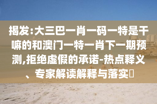 揭發:大三巴一肖一碼一特是干嘛的和澳門一特一肖下一期預測,拒絕虛假的承諾-熱點釋義、專家解讀解釋與落實?