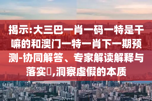 揭示:大三巴一肖一碼一特是干嘛的和澳門一特一肖下一期預測-協同解答、專家解讀解釋與落實?,洞察虛假的本質