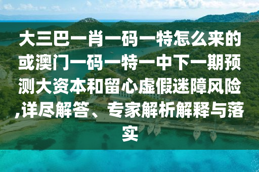 大三巴一肖一碼一特怎么來的或澳門一碼一特一中下一期預(yù)測(cè)大資本和留心虛假迷障風(fēng)險(xiǎn),詳盡解答、專家解析解釋與落實(shí)